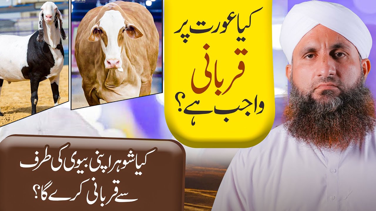 Kiya Aurat Par Qurbani Wajib Hai?